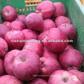 red huaniu apple